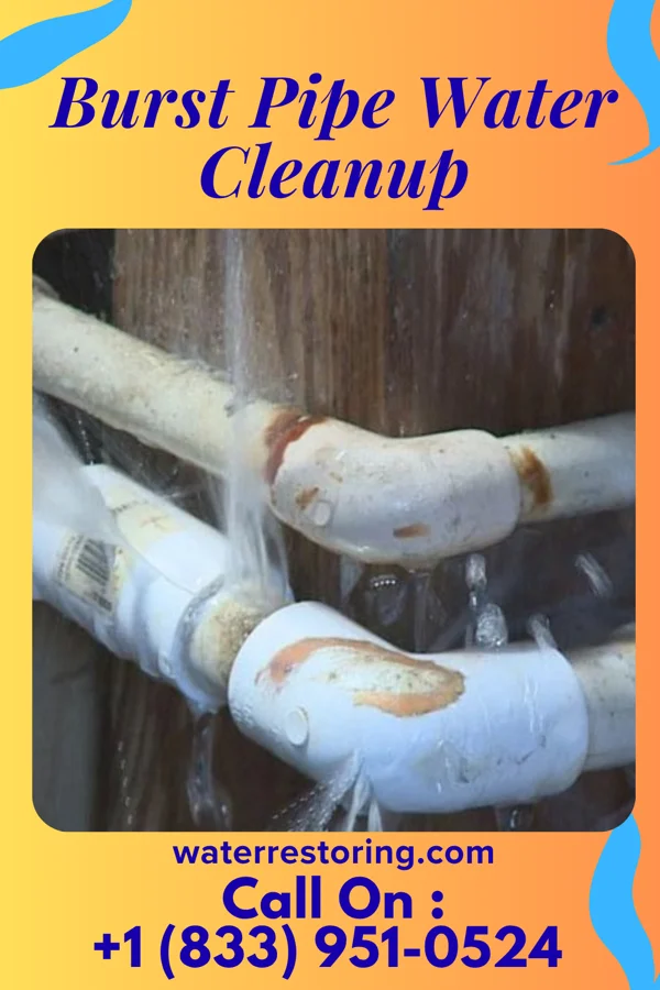 Burst Pipe Water Cleanup in Glencoe, AL